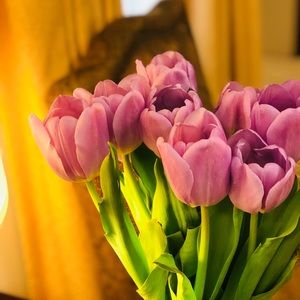 Meet your Posher, Jam